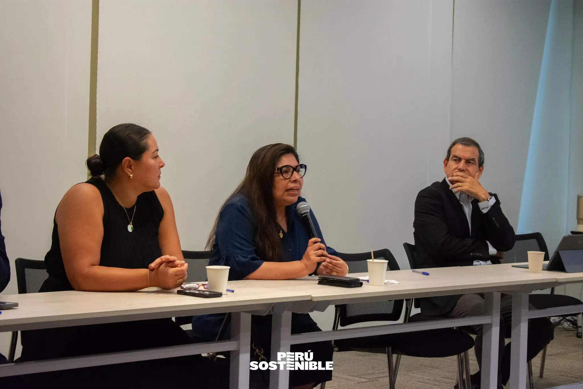 Mesa de acción de seguridad ciudadana y resiliencia comunitaria en Callao