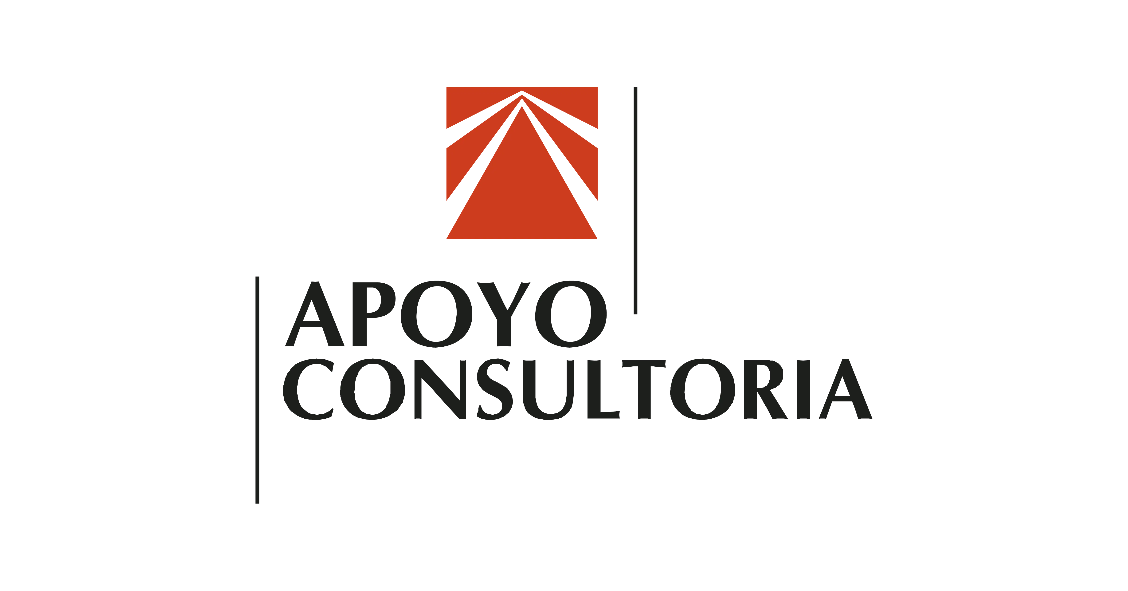 Apoyo Consultoría