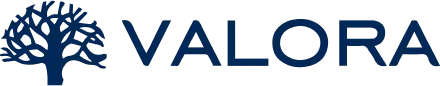 Valora Consultores