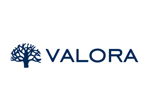 Valora Consultores