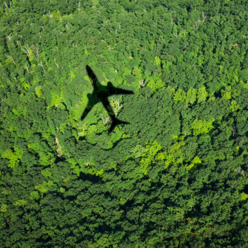 En la imagen se aprecia la sombre de un avión sobrevolando la amazonia