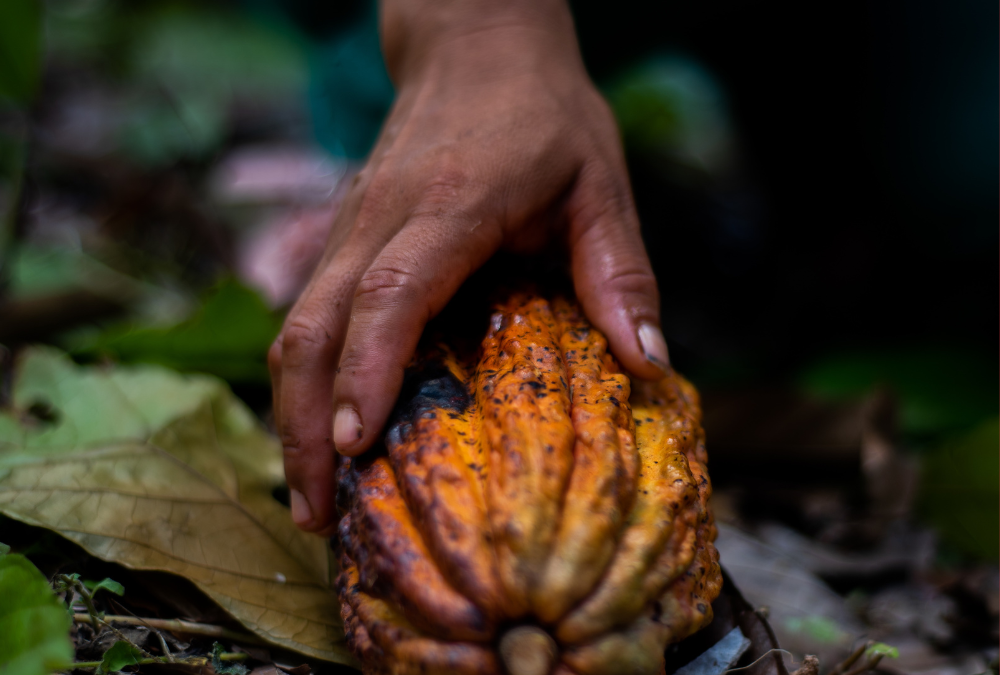 Integrando agendas por un desarrollo sostenible: la importancia del diálogo entre la agenda de la APEC y la COP Biodiversidad