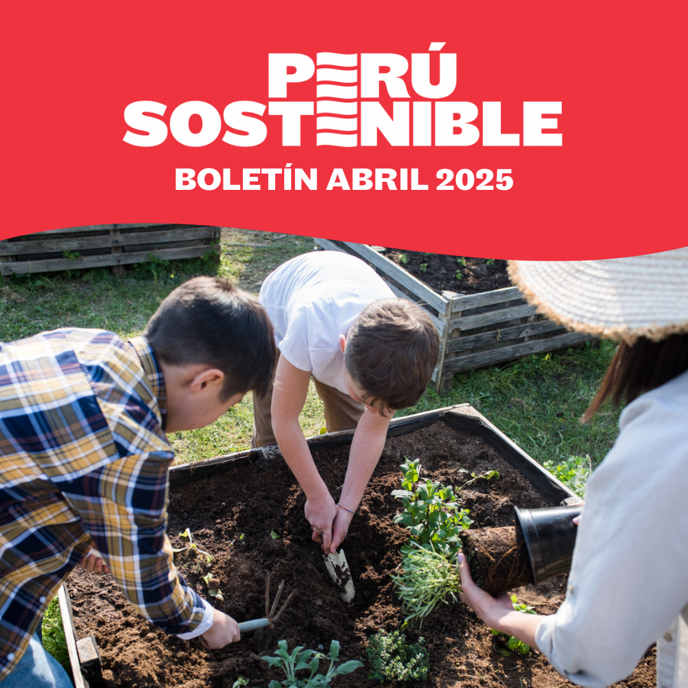 Boletin abril 2025