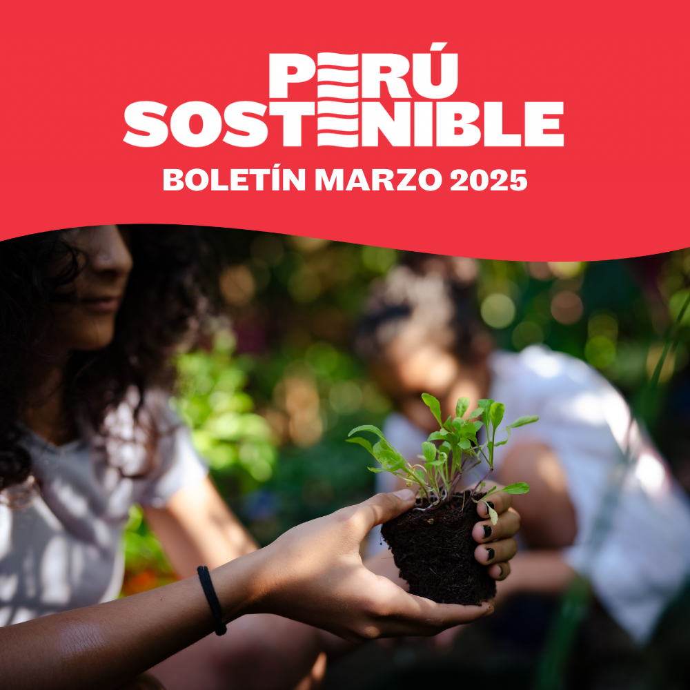 Boletin marzo 2025