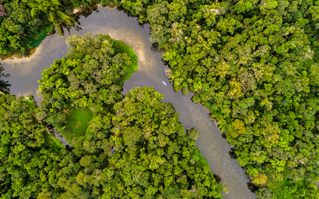 Declaración de empresas Latinoamericanas sobre la Amazonía (Para su presentación en la COP30, noviembre 2025)