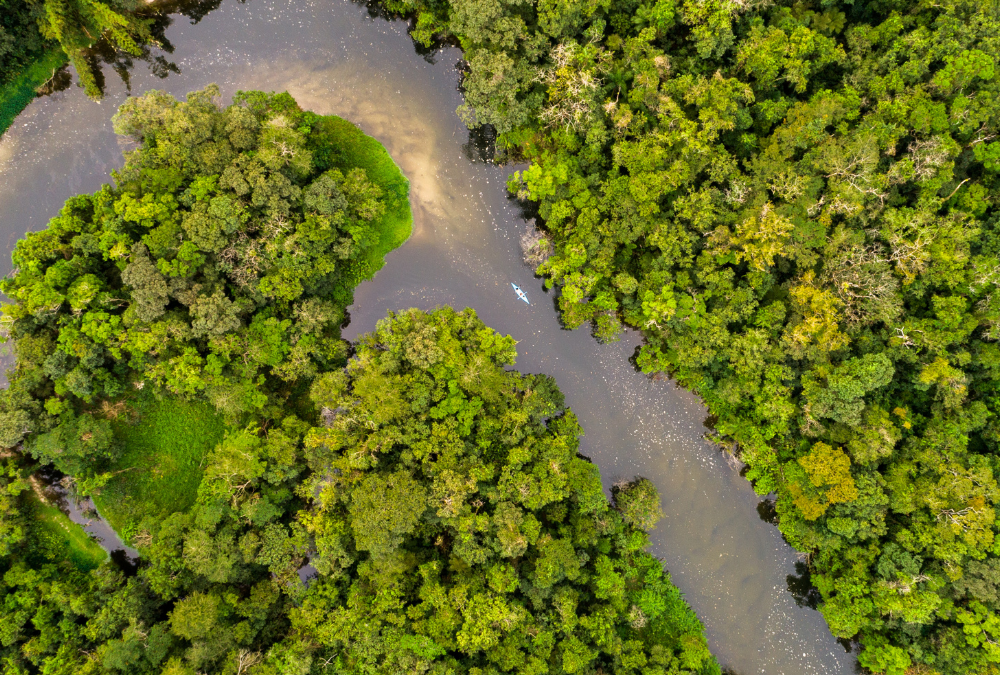 Declaración de empresas Latinoamericanas sobre la Amazonía (Para su presentación en la COP30, noviembre 2025)