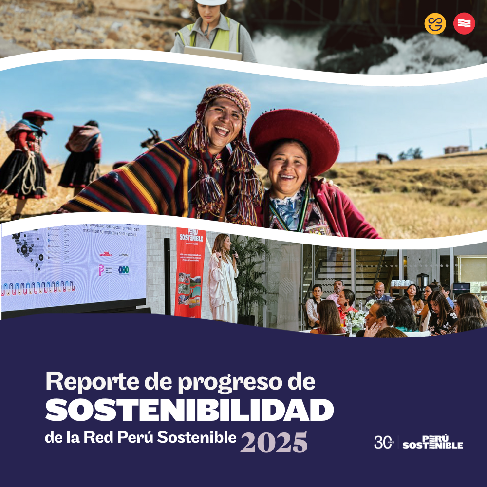 Portada reporte de progreso red 2025